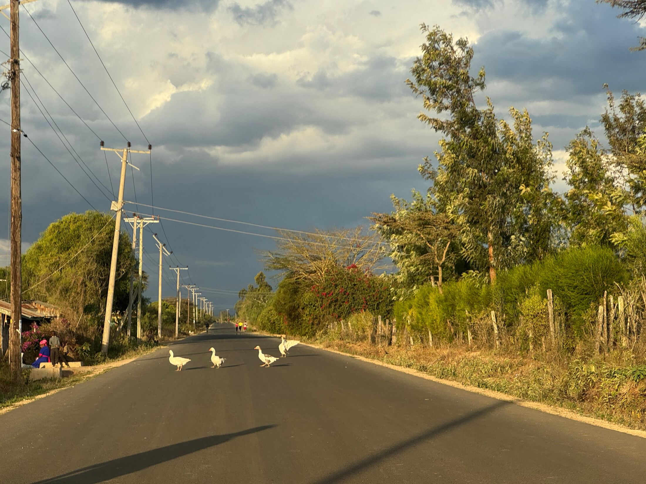 Unhurried Days